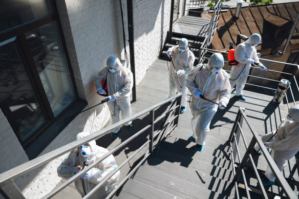 Professional Mold Removal in Piedmont, SD