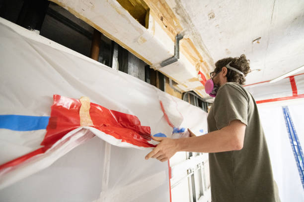 Best Mold Damage Restoration  in Piedmont, SD