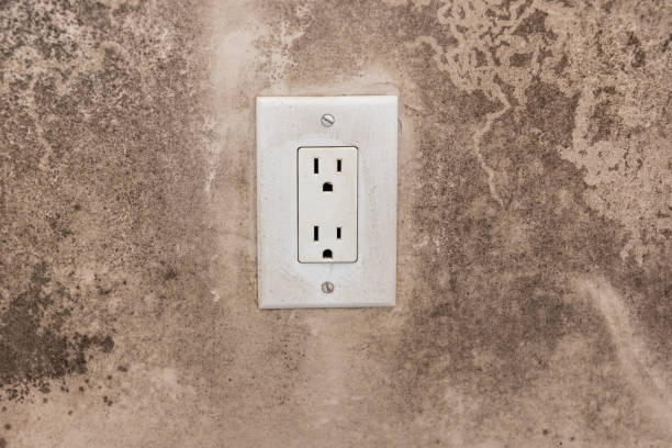 Best Forensic Mold Investigation  in Piedmont, SD